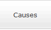 Causes